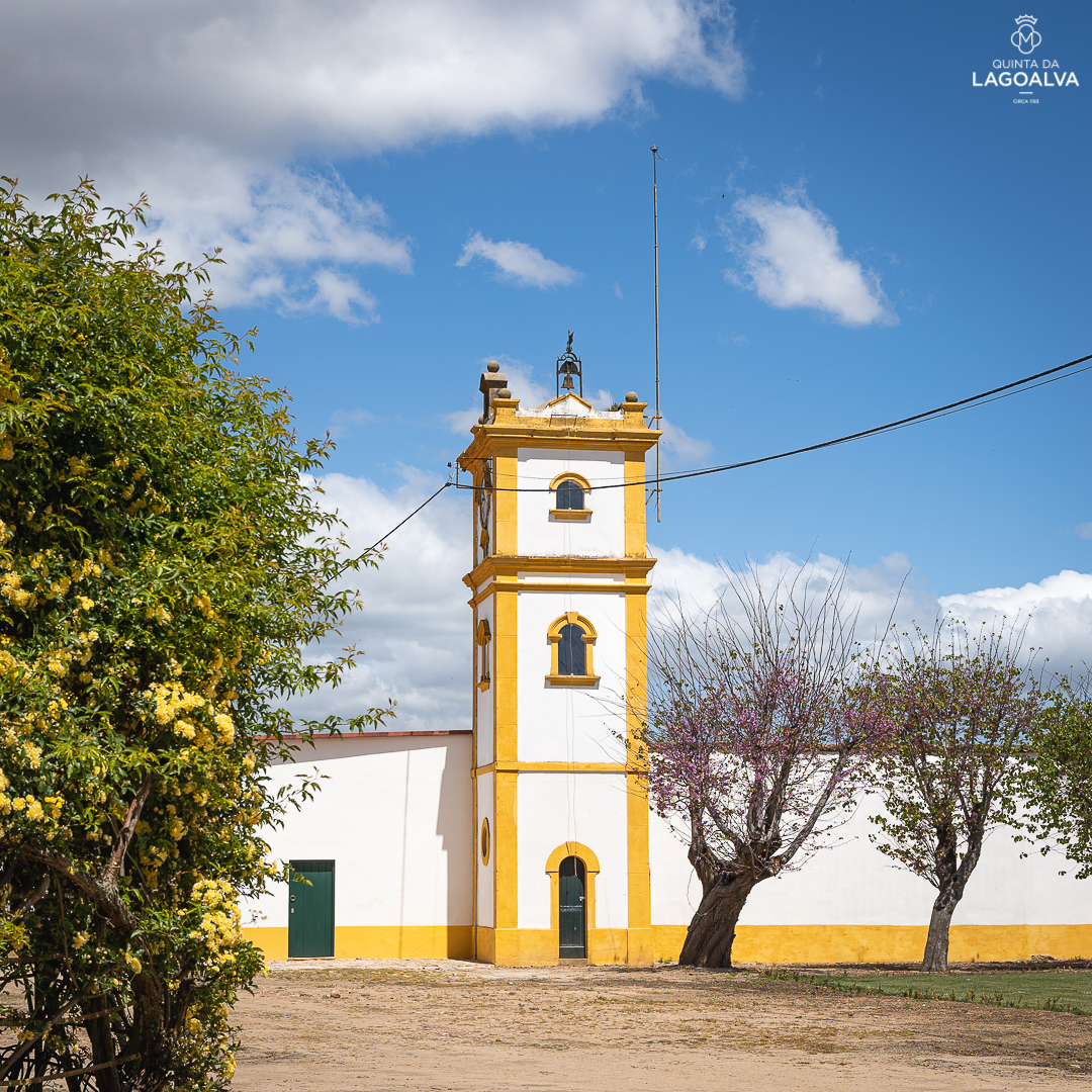 Quinta da Lagoalva — Palácio e vinhas em Alpiarça